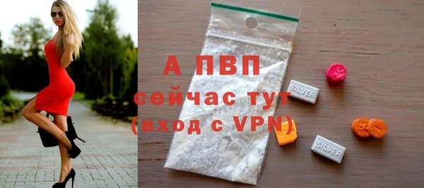 прущие грибы Богданович