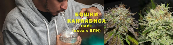 прущие грибы Богданович