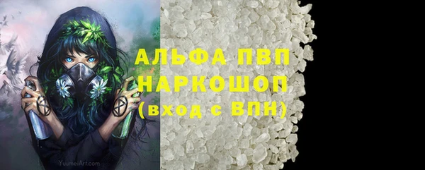 стафф Богородицк