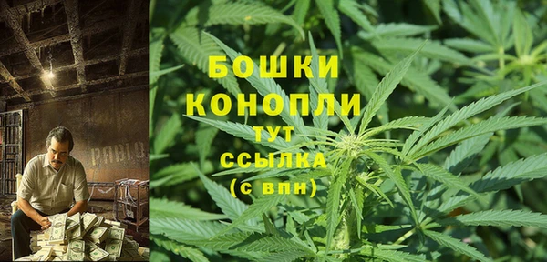прущие грибы Богданович