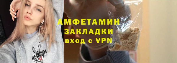 прущие грибы Богданович