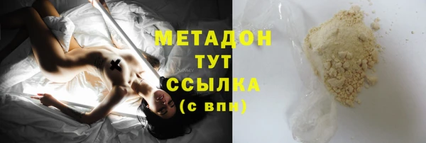 прущие грибы Богданович