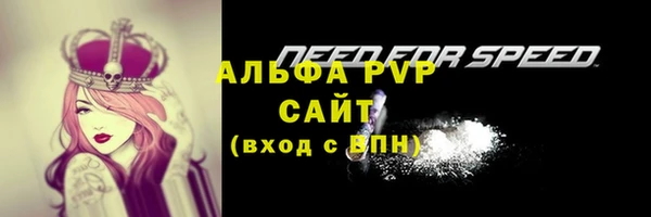 МДПВ Богородск
