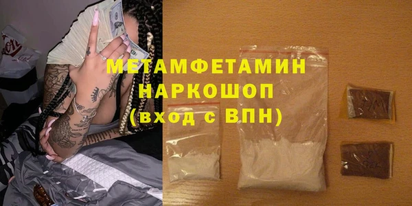 прущие грибы Богданович