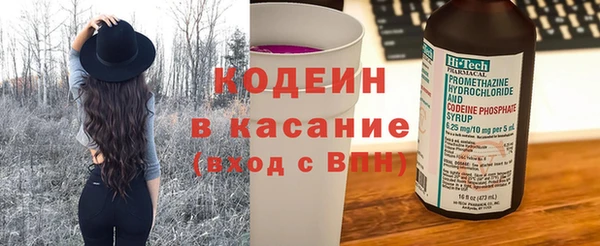 прущие грибы Богданович