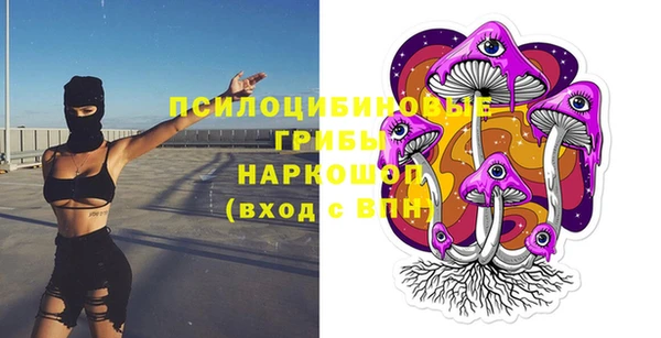 МДПВ Богородск